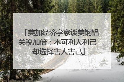 美加经济学家谈美钢铝关税加倍：本可利人利己 却选择害人害己